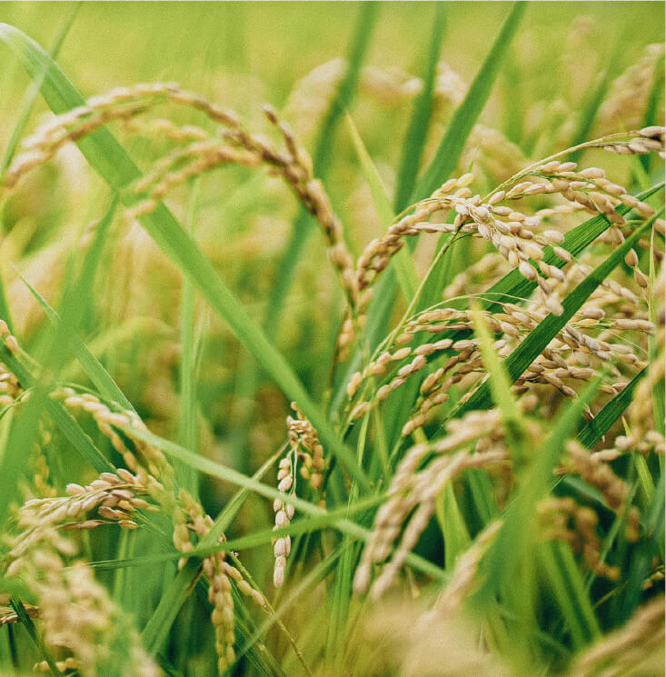 街に関わるイメージ04