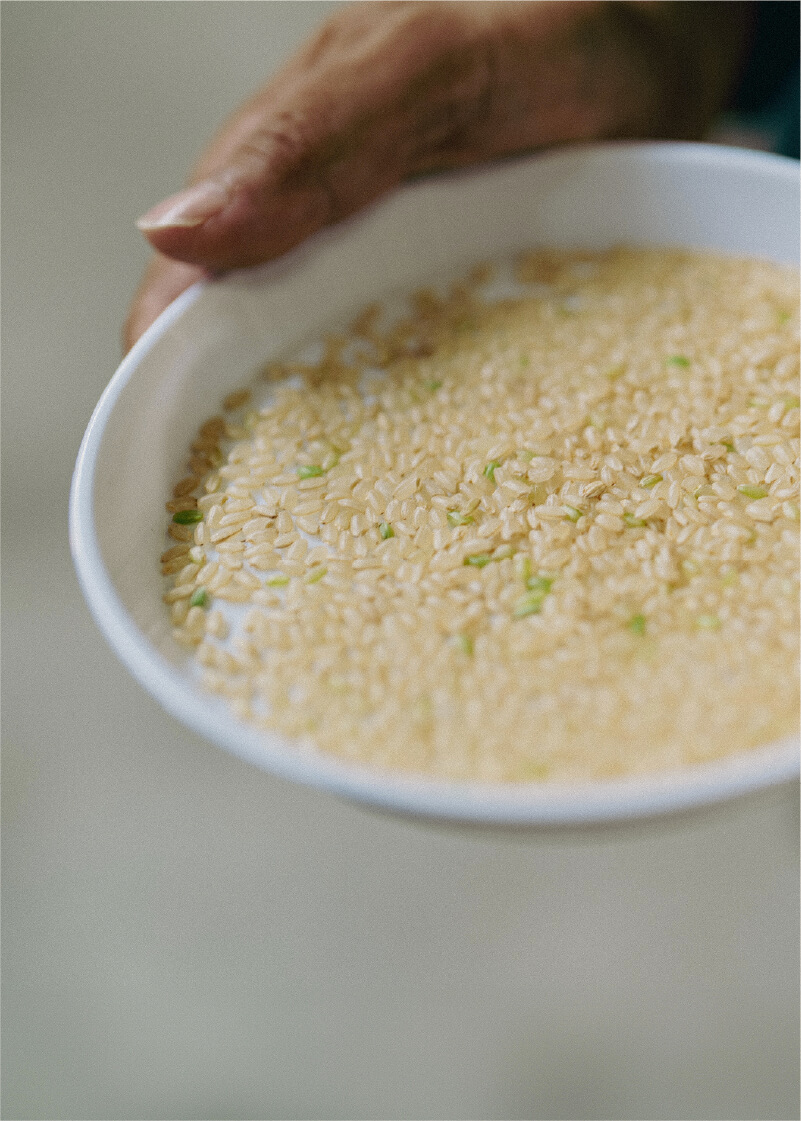 農業イメージ05